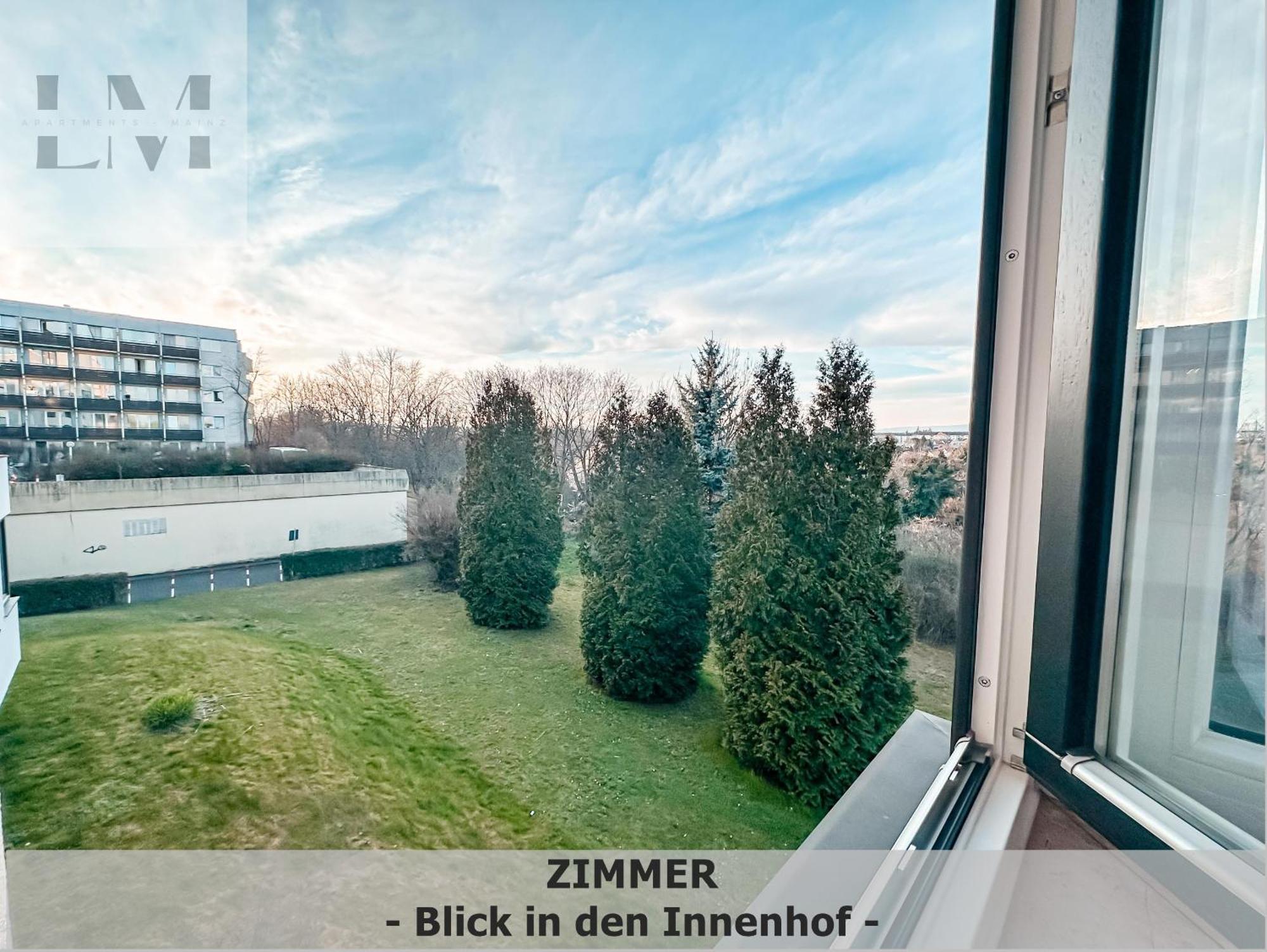 Ferienwohnung 01-Richard Schirrmann Str. 10 Mainz Exterior foto